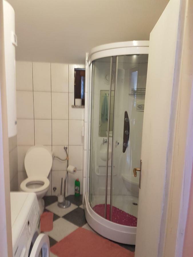 Apartman Vil Apartman Sveti Vid-Miholjice Kültér fotó